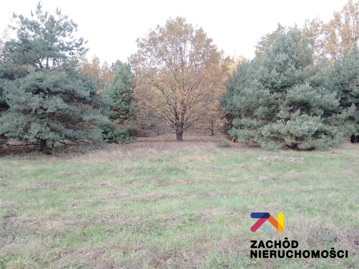 Na sprzedaż 4 działki o powierzchni od 1064 m2 do 1186 m2 zlokalizowana w miejscowości Świdnica koło Zielonej Góry. Działki w kształcie prostokąta, nie zadrzewiona, oddalona 200 m od najbliższych zab… - 3