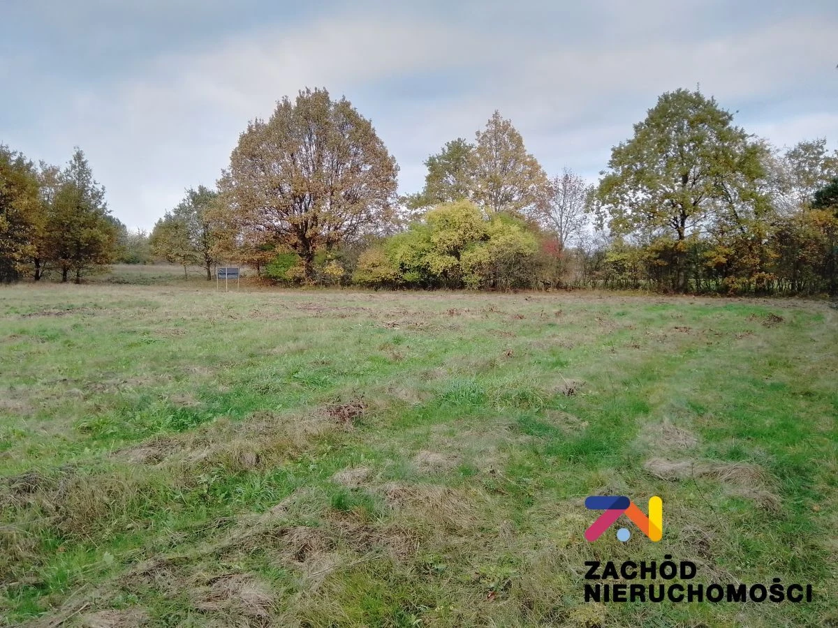 Na sprzedaż 4 działki o powierzchni od 1064 m2 do 1186 m2 zlokalizowana w miejscowości Świdnica koło Zielonej Góry. Działki w kształcie prostokąta, nie zadrzewiona, oddalona 200 m od najbliższych zab… - 2