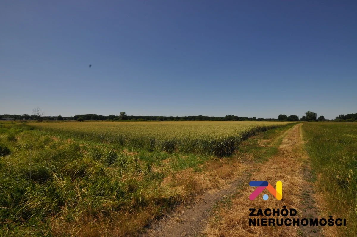 Na sprzedaż działka rolna o powierzchni 46675 m2 usytuowana w Zielonej Górze- Zawada. - 162000227-1l.jpg