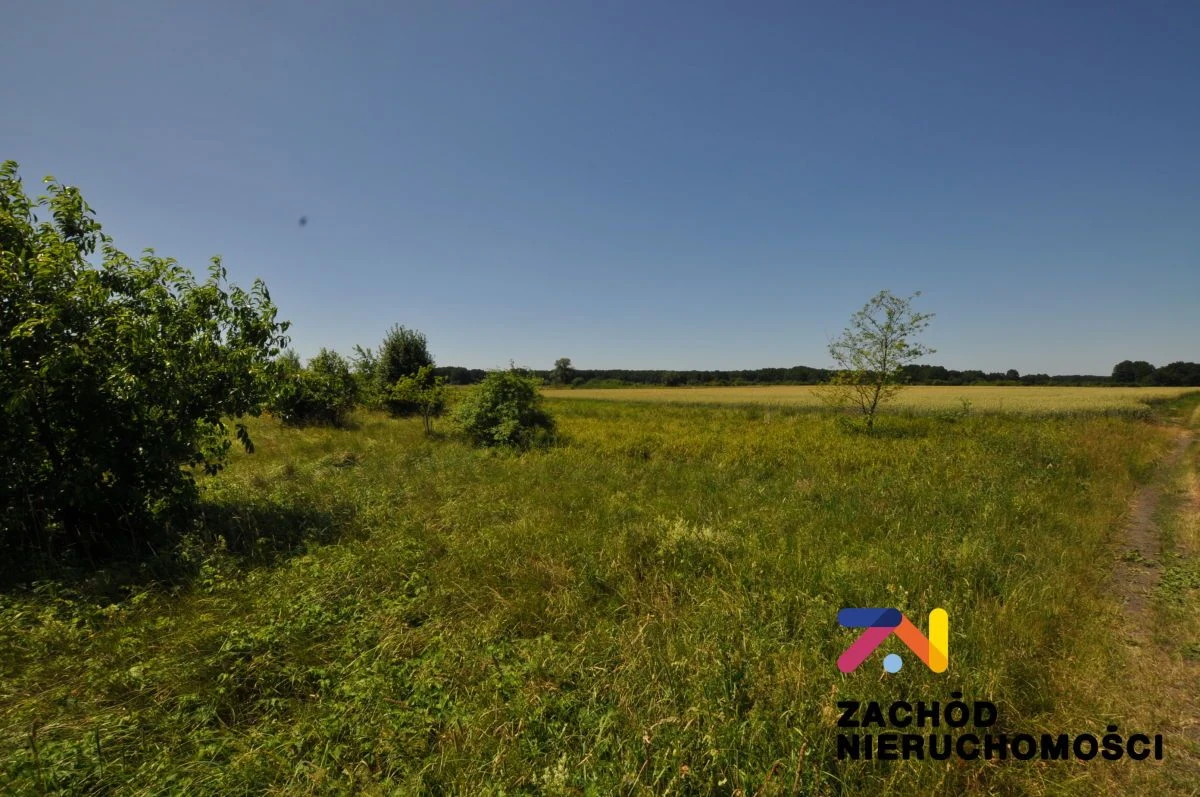 Na sprzedaż działka rolna o powierzchni 46675 m2 usytuowana w Zielonej Górze- Zawada. - 2