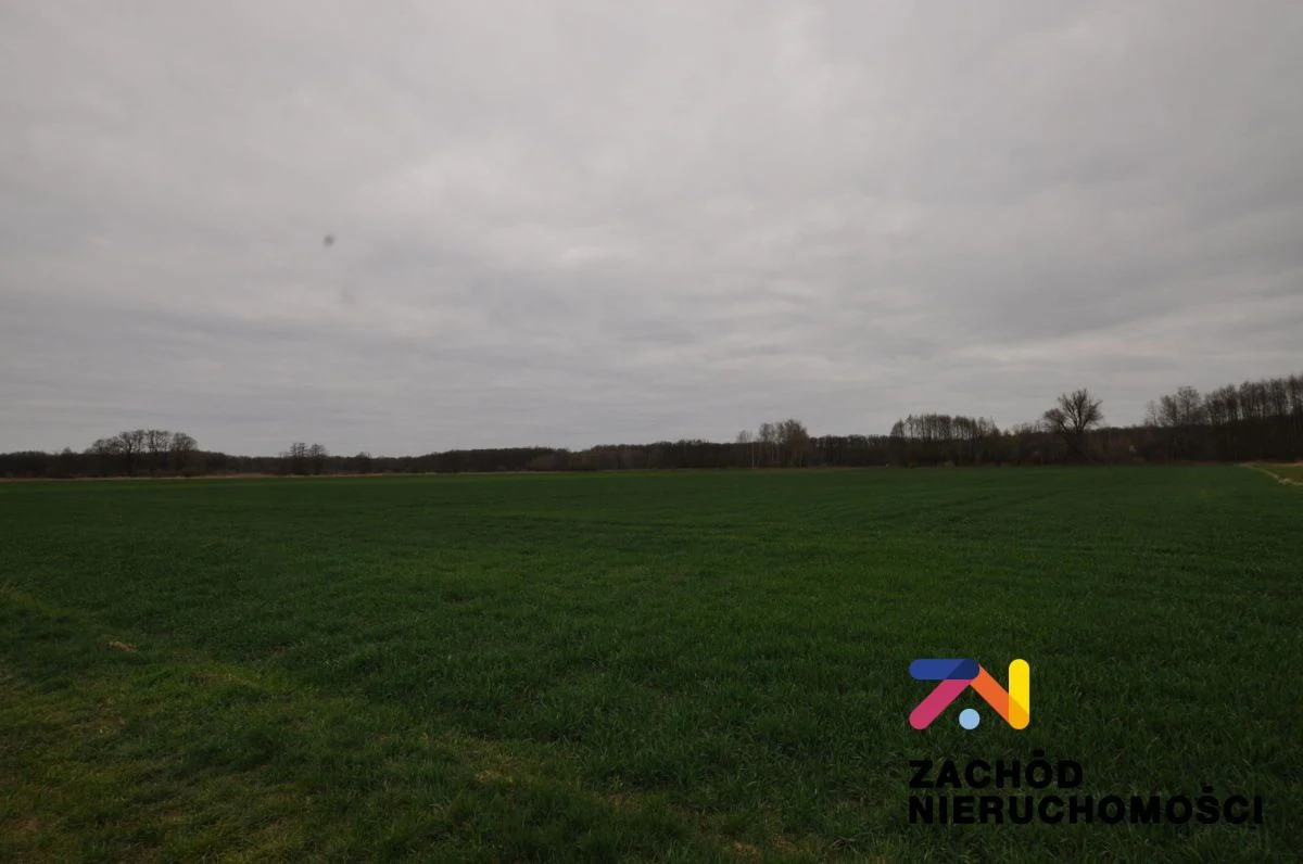 Na sprzedaż działki rolne o powierzchni 1,75 Ha i 0,31 Ha usytuowane w Zielonej Górze- Zawada. - 161030227-1l.jpg