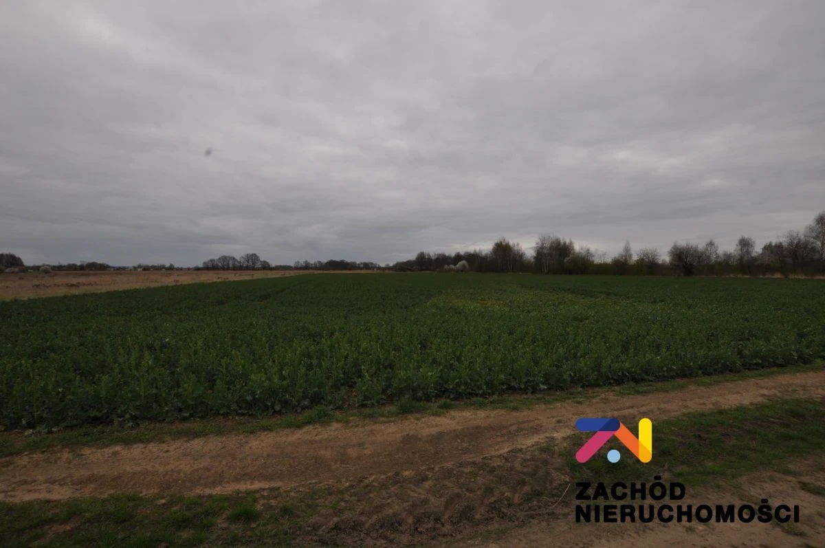 Na sprzedaż działki rolne o powierzchni 1,75 Ha i 0,31 Ha usytuowane w Zielonej Górze- Zawada. - 3