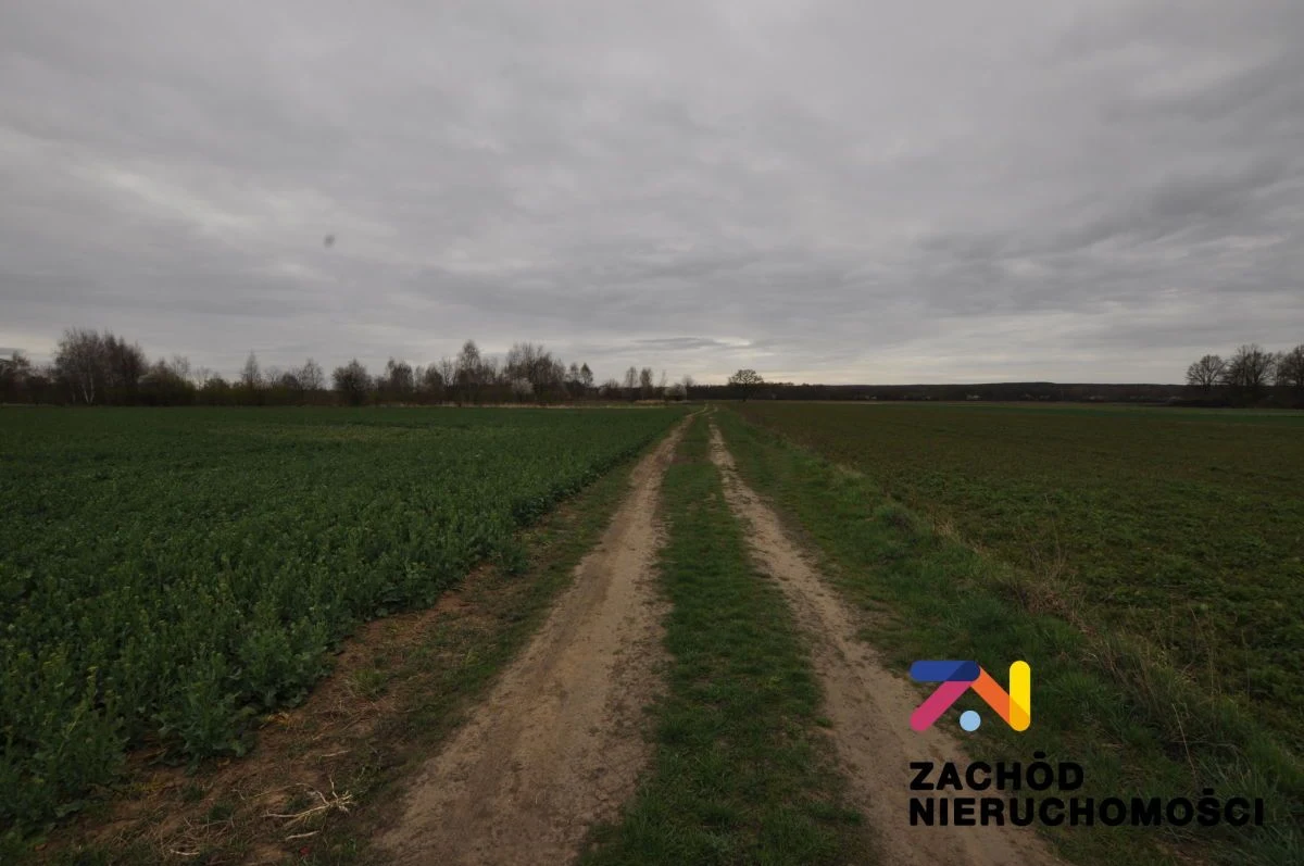 Na sprzedaż działki rolne o powierzchni 1,75 Ha i 0,31 Ha usytuowane w Zielonej Górze- Zawada. - 2