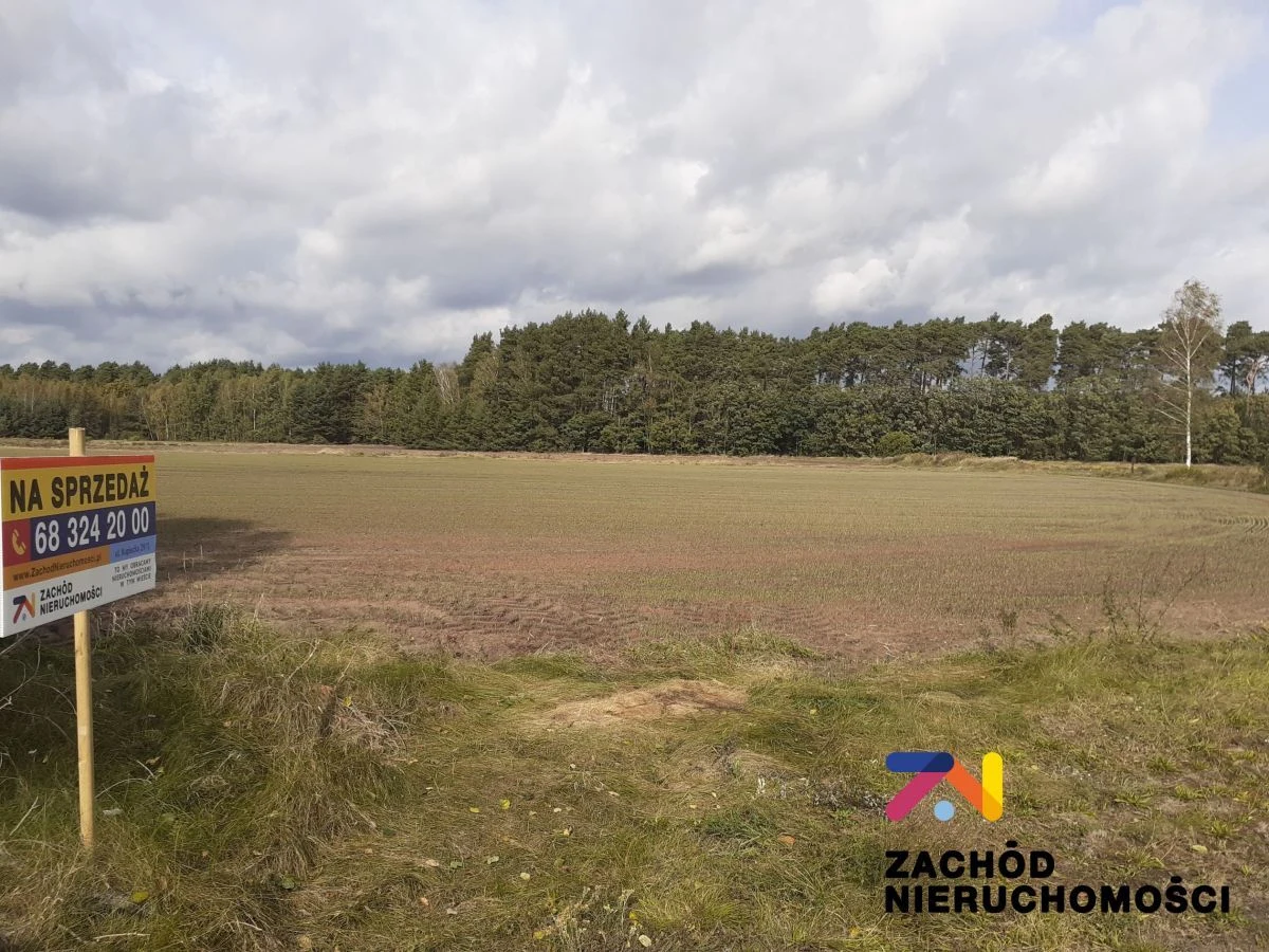 OFERUJEMY PAŃSTWU NIERUCHOMOŚĆ POŁOŻONĄ W OBRĘBIE BIEŻYCE GMINA GUBIN, POWIAT KROŚNIEŃSKI. - 151980227-1l.jpg