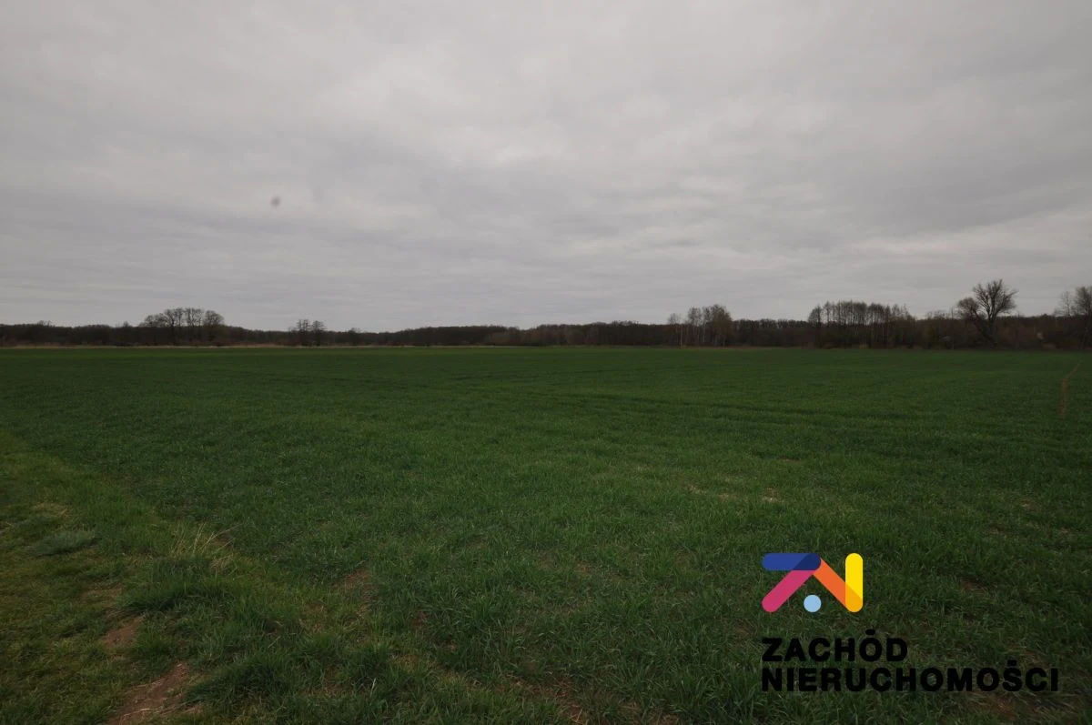 Na sprzedaż działka rolna o powierzchni 1,74 Ha usytuowana w Zielonej Górze- Zawada. - 2