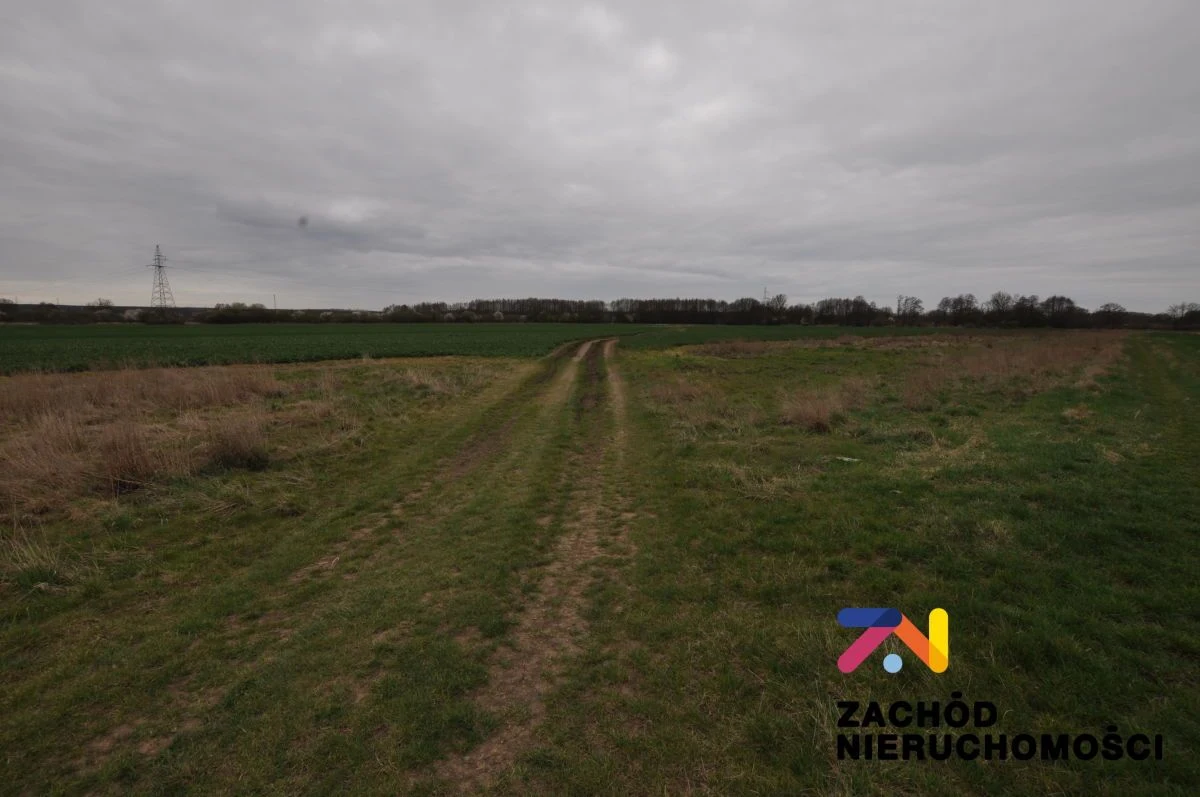 Na sprzedaż działka rolna o powierzchni 1,74 Ha usytuowana w Zielonej Górze- Zawada. - 3