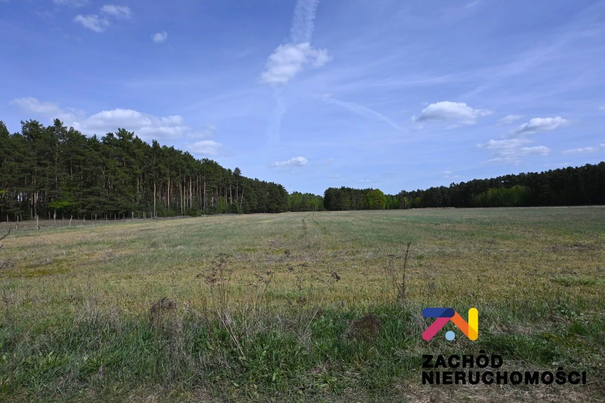 Przedmiotem oferty jest działka budowlana o pow. 3020m2, położona w miejscowości Bronków w powiecie krośnieńskim. - 160960227-1l.jpg