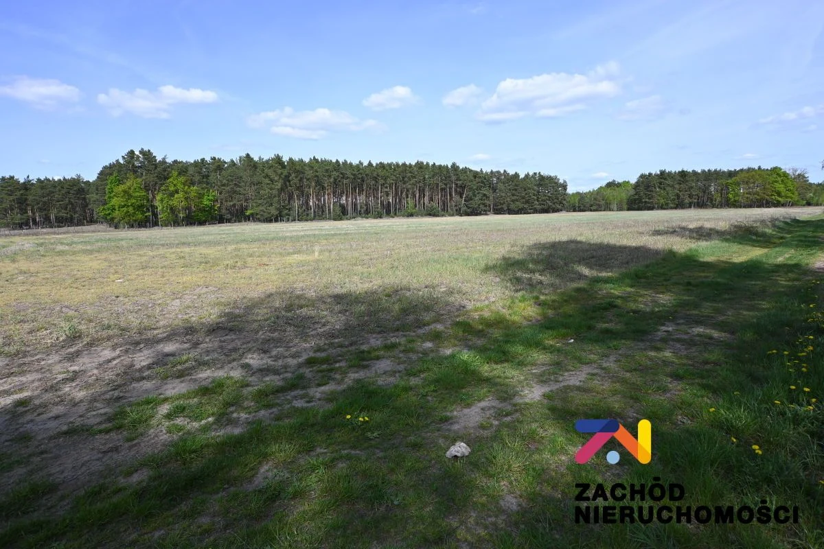 Przedmiotem oferty są działki budowlane położone w miejscowości Bronków w powiecie krośnieńskim. - 160950227-1l.jpg