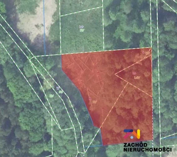 Prezentujemy Państwu działkę budowlaną w miejscowości Droszków, zaledwie 12km od Zielonej Góry. Idealne miejsce dla osób ceniących spokój i ciszę. - 159690227-1l.jpg