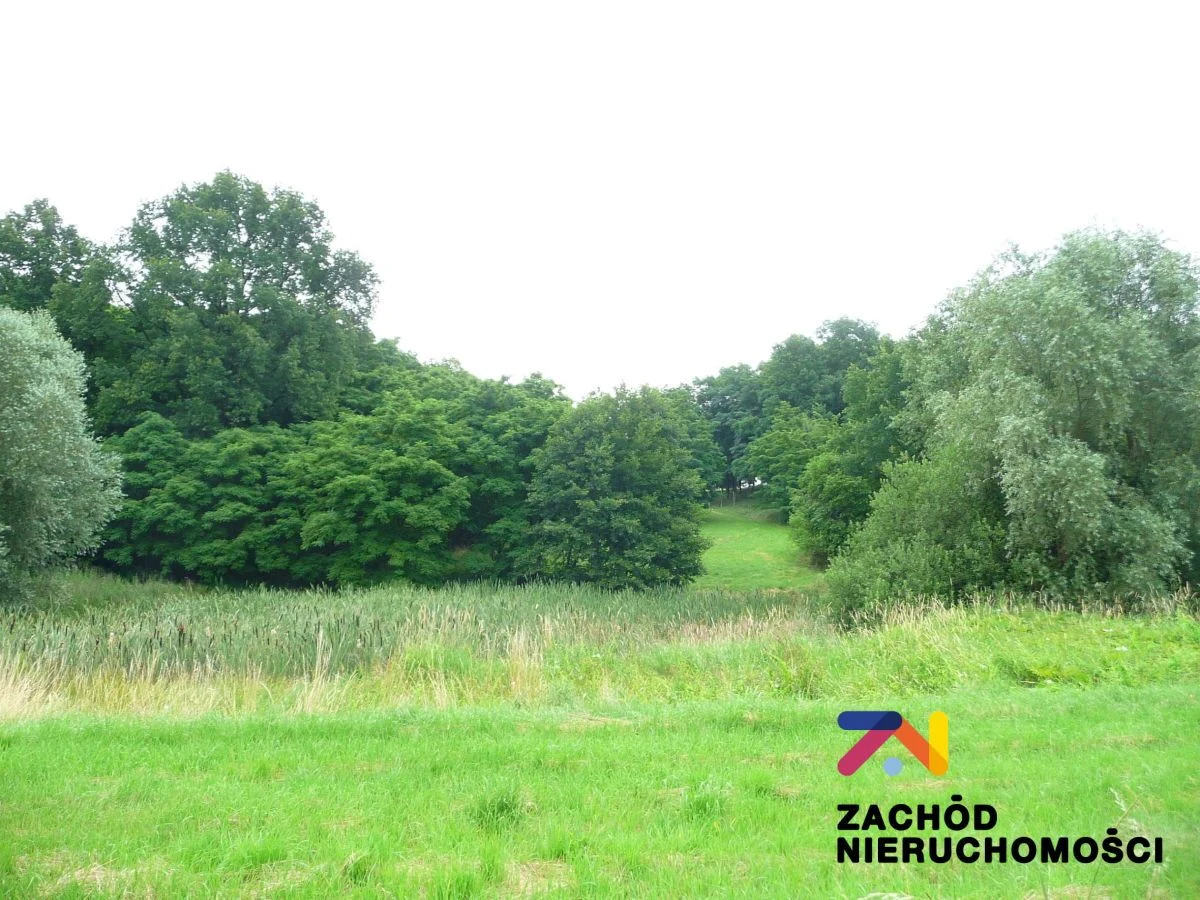 Oferujemy Państwu na sprzedaż działkę budowlaną, który znajduje się na urokliwej działce ze wzgórzem z pięknym widokiem na okolice o pow. 2,26 ha w gminie Zabór w miejscowości Przytok.