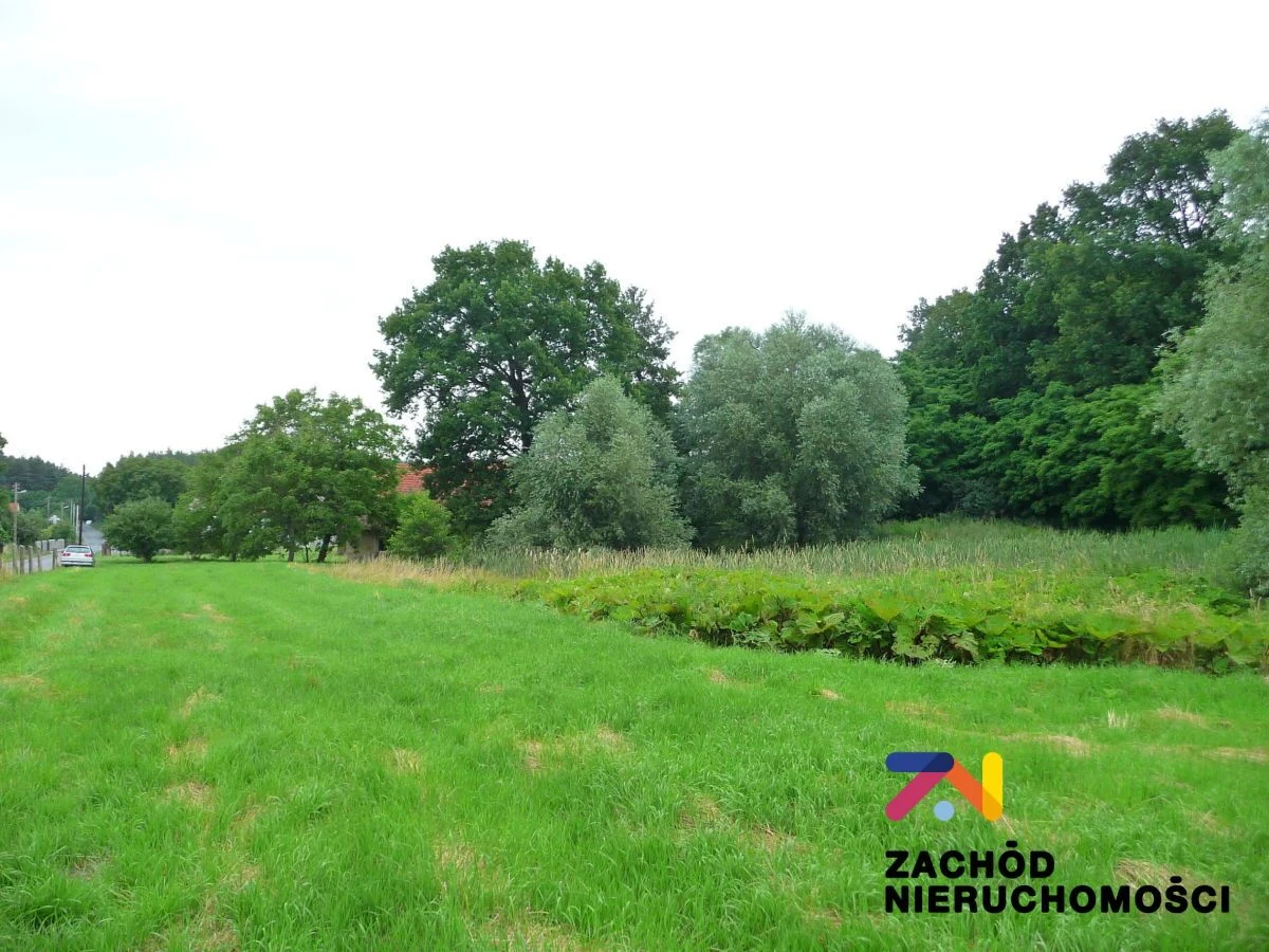Oferujemy Państwu na sprzedaż działkę budowlaną, który znajduje się na urokliwej działce ze wzgórzem z pięknym widokiem na okolice o pow. 2,26 ha w gminie Zabór w miejscowości Przytok. - 5