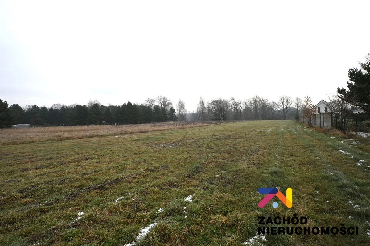 Przedstawiamy Państwu atrakcyjną ofertę działki budowlanej położonej w malowniczej miejscowości Zabór, zaledwie 17 km od Zielonej Góry. - 4