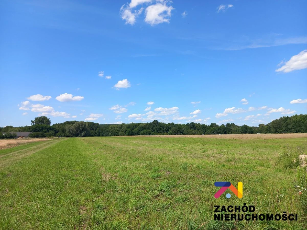 Prezentujemy Państwu kompleksdziałek budowlanych w miejscowości Zabór, zaledwie 17km od Zielonej Góry. Idealne miejsce dla osób ceniących spokój i ciszę. - 162140227-1l.jpg