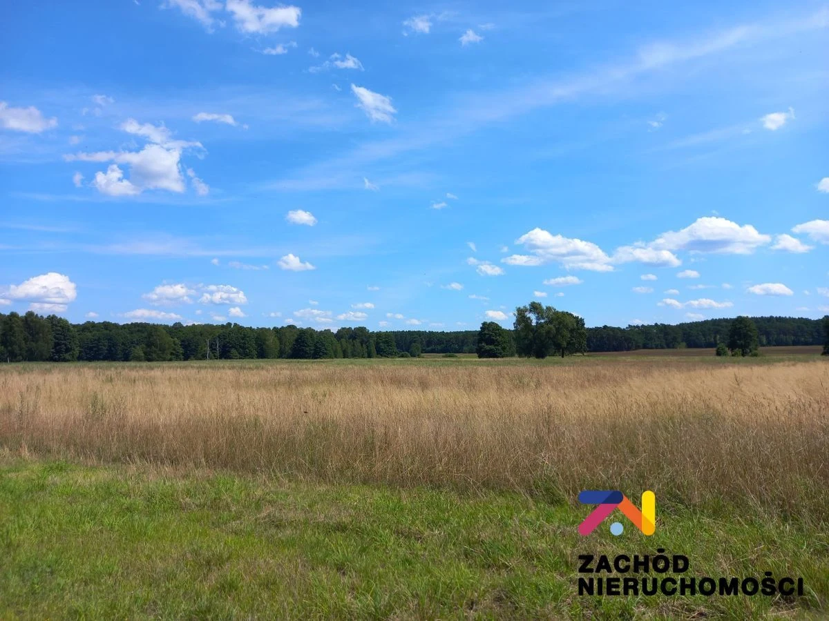 Prezentujemy Państwu kompleksdziałek budowlanych w miejscowości Zabór, zaledwie 17km od Zielonej Góry. Idealne miejsce dla osób ceniących spokój i ciszę. - 2