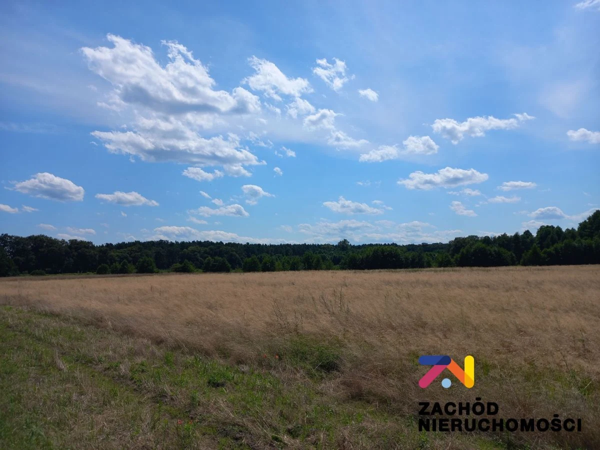 Prezentujemy Państwu kompleksdziałek budowlanych w miejscowości Zabór, zaledwie 17km od Zielonej Góry. Idealne miejsce dla osób ceniących spokój i ciszę. - 5
