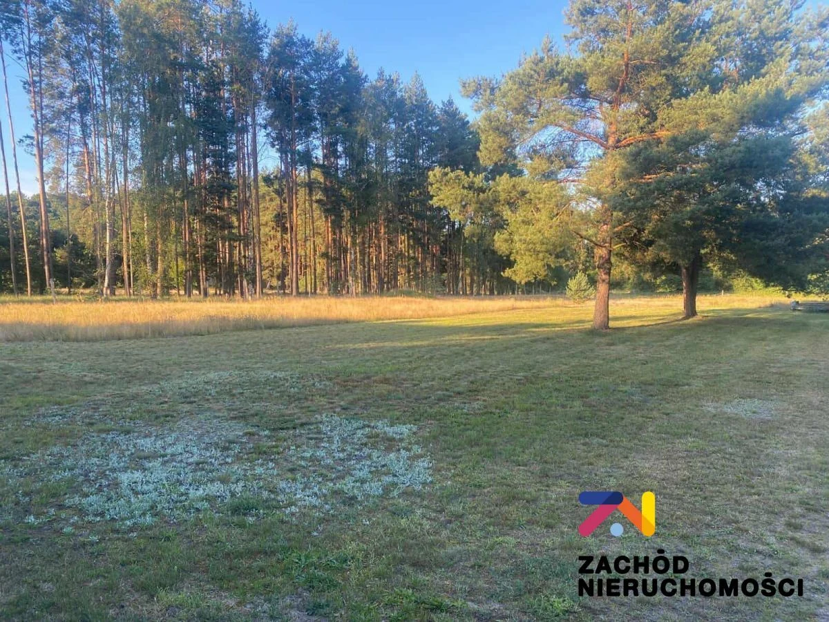 Na sprzedaż działka o powierzchni 5000 m2 zlokalizowane w miejscowości Brody w gminie Sulechów w niedalekiej odległości od lasu. - 5