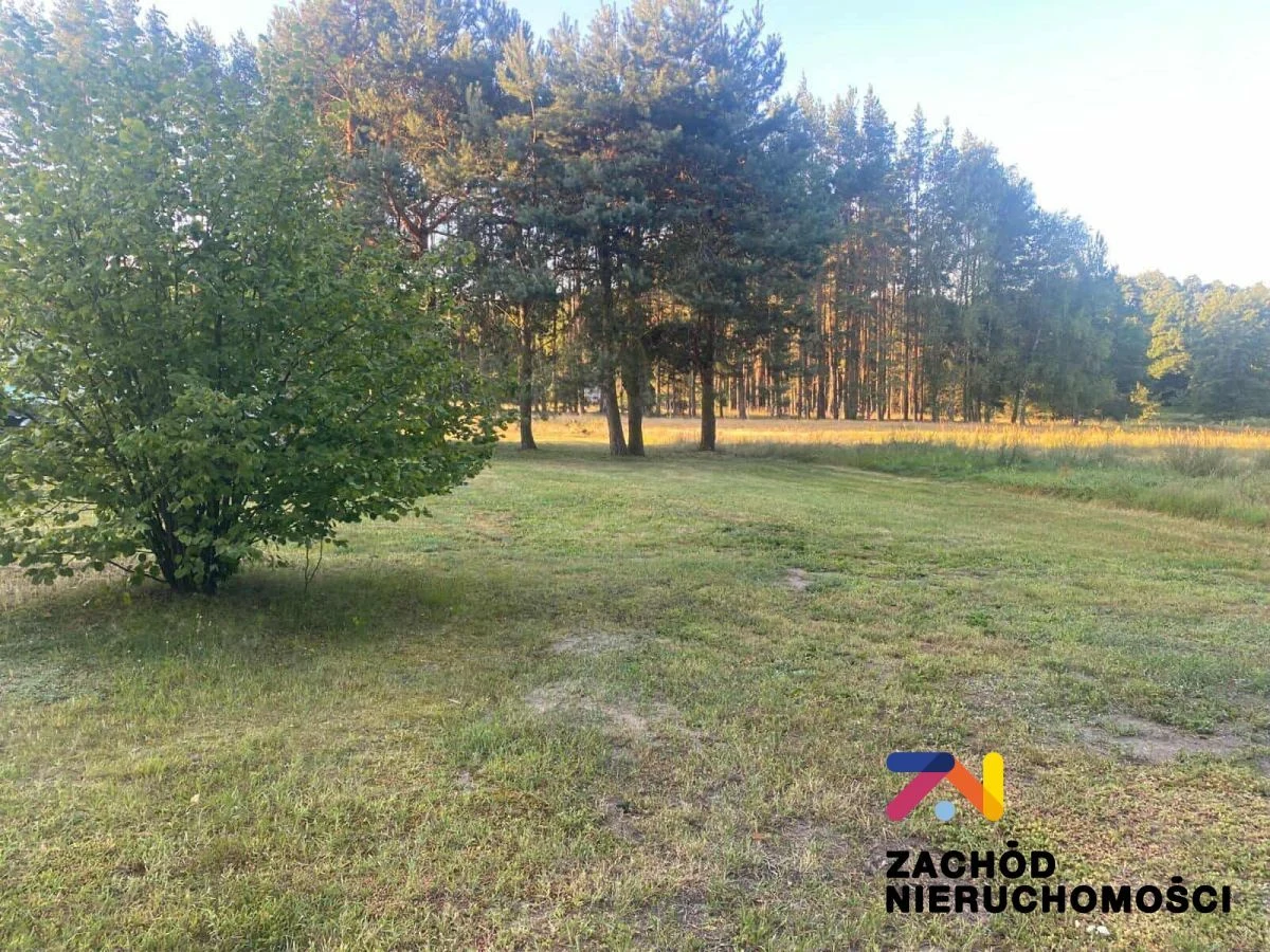 Na sprzedaż działka o powierzchni 5000 m2 zlokalizowane w miejscowości Brody w gminie Sulechów w niedalekiej odległości od lasu. - 4