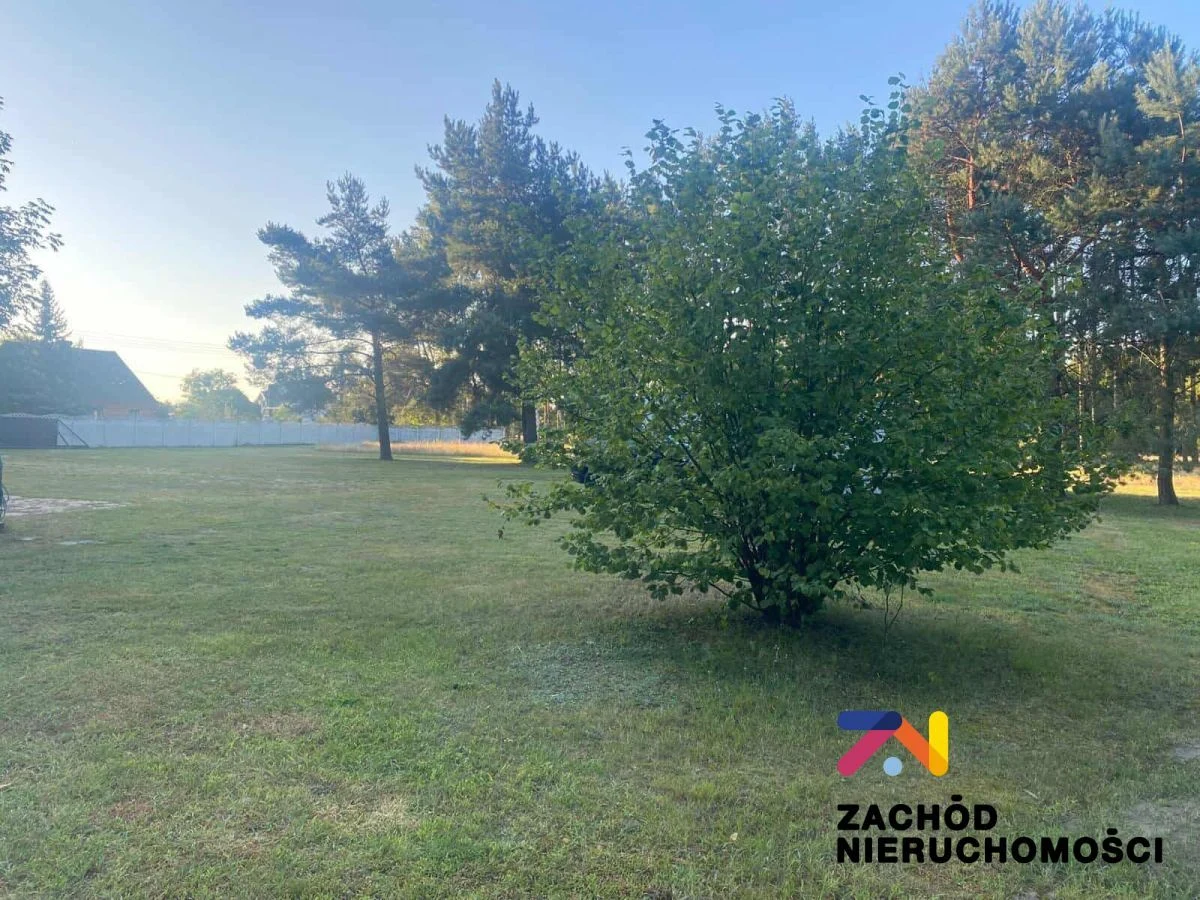 Na sprzedaż działka o powierzchni 5000 m2 zlokalizowane w miejscowości Brody w gminie Sulechów w niedalekiej odległości od lasu. - 3