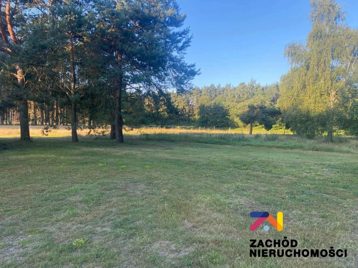 Na sprzedaż działka o powierzchni 5000 m2 zlokalizowane w miejscowości Brody w gminie Sulechów w niedalekiej odległości od lasu. - 2
