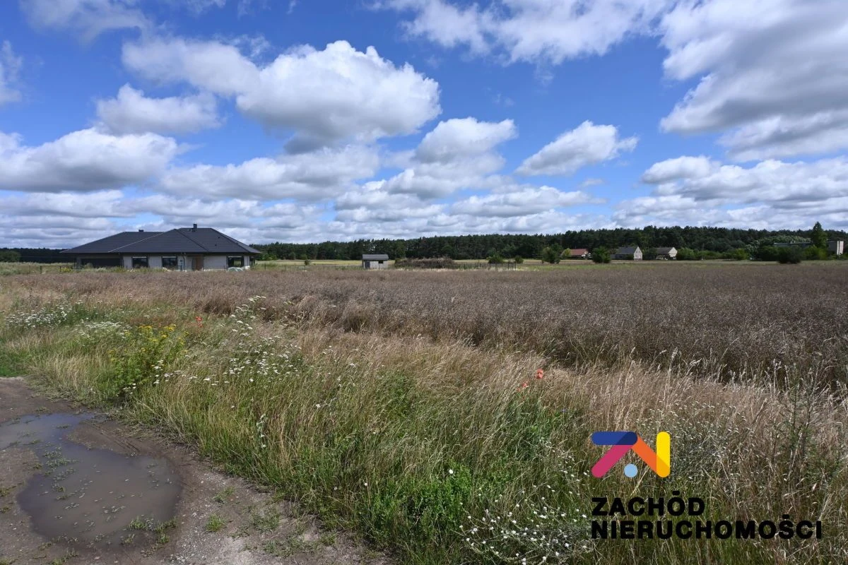 Na sprzedaż działki o powierzchni od 1000 m2 do 1100 m2 usytuowane w miejscowości Niedoradz w niedalekiej odległości od Nowej Soli. - 4
