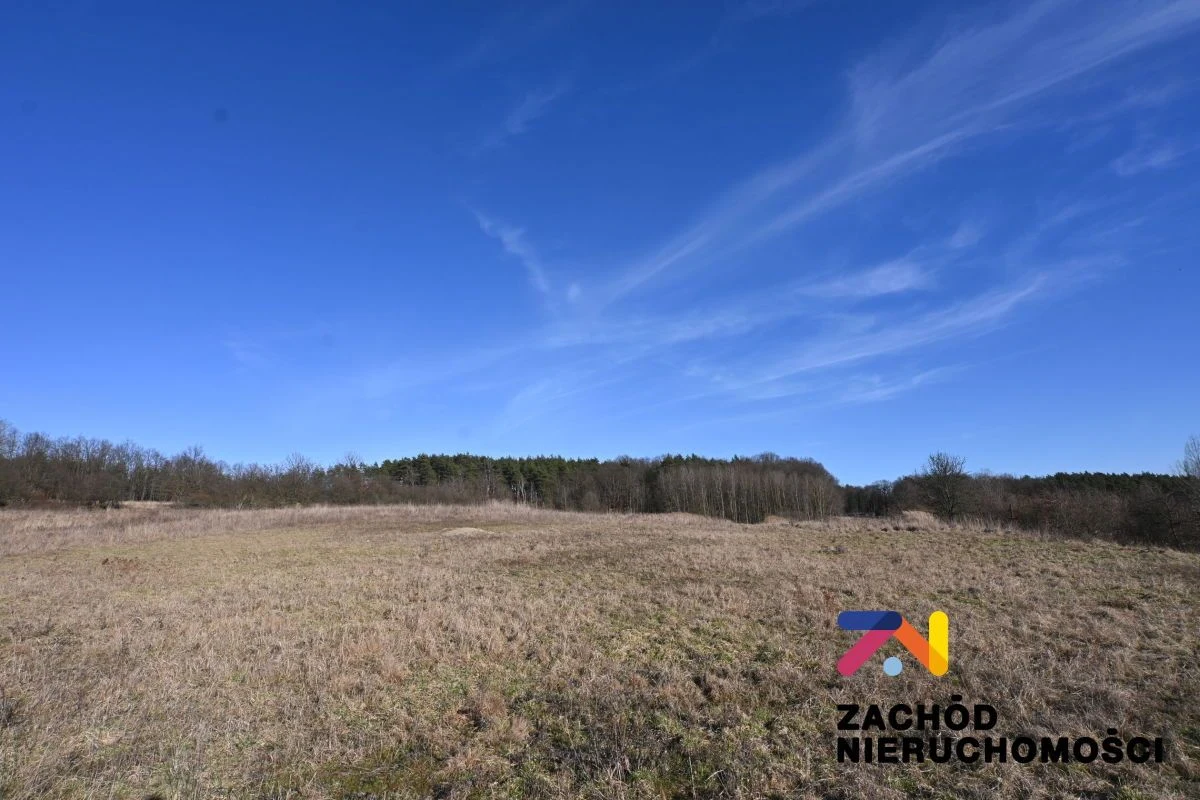 Na sprzedaż działka budowlana o pow. 1558 m2 usytuowana w kompleksie 10 działek zlokalizowanych w miejscowości Drągowina koło Nowogrodu Bobrzańskiego. - 2