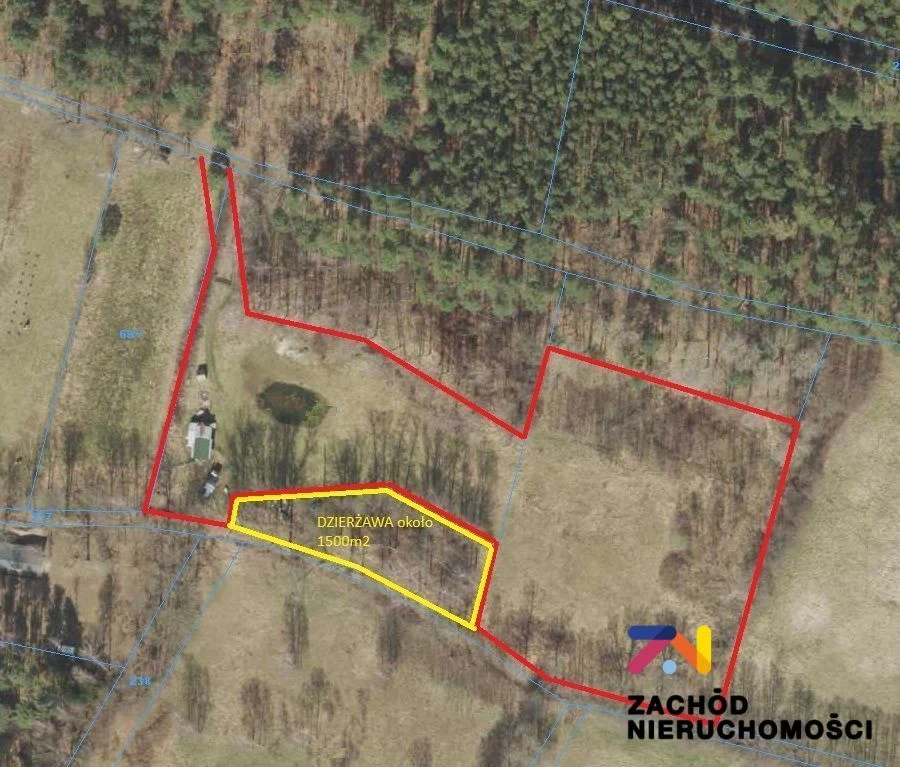Oferujemy na sprzedaż działkę budowlaną w Barcikowicach Małych o pow. 9646m2 zlokalizowaną 14 km od centrum Zielonej Góry. - 2