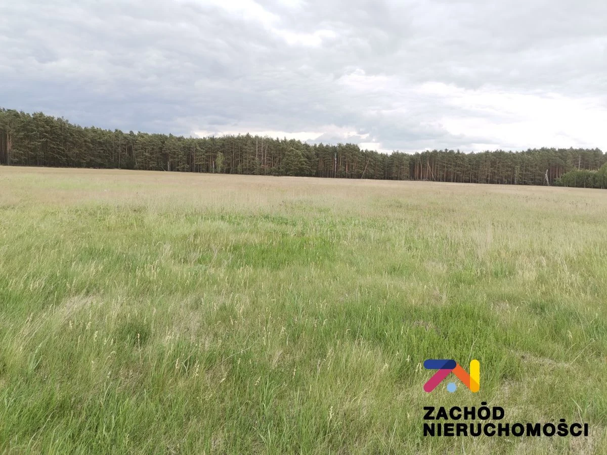 Zapraszamy do zapoznania się z ofertą sprzedaży działki budowlanej położonej w dzielnicy Zielonej Góry- Ochla