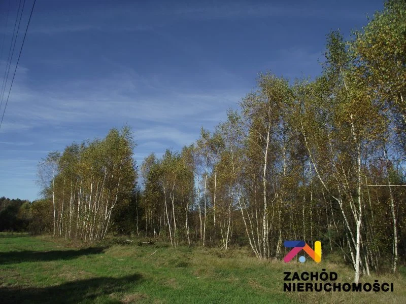 Na sprzedaż atrakcyjna działka w malowniczym rejonie Radomia - Orzewo, o powierzchni około 1200 m, idealna dla osób poszukujących spokojnego miejsca do realizacji swoich marzeń o własnym domu. - 164570227-1l.jpg
