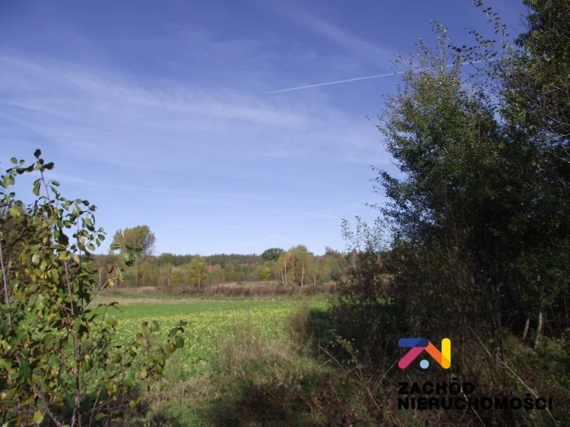 Na sprzedaż atrakcyjna działka w malowniczym rejonie Radomia - Orzewo, o powierzchni około 1200 m, idealna dla osób poszukujących spokojnego miejsca do realizacji swoich marzeń o własnym domu. - 4