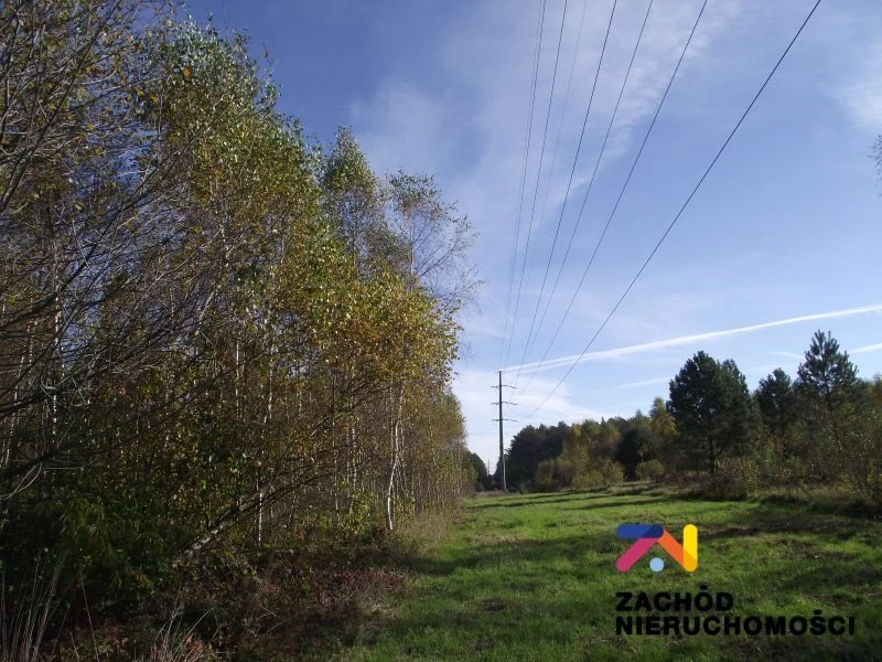 Na sprzedaż atrakcyjna działka w malowniczym rejonie Radomia - Orzewo, o powierzchni około 1200 m, idealna dla osób poszukujących spokojnego miejsca do realizacji swoich marzeń o własnym domu. - 3