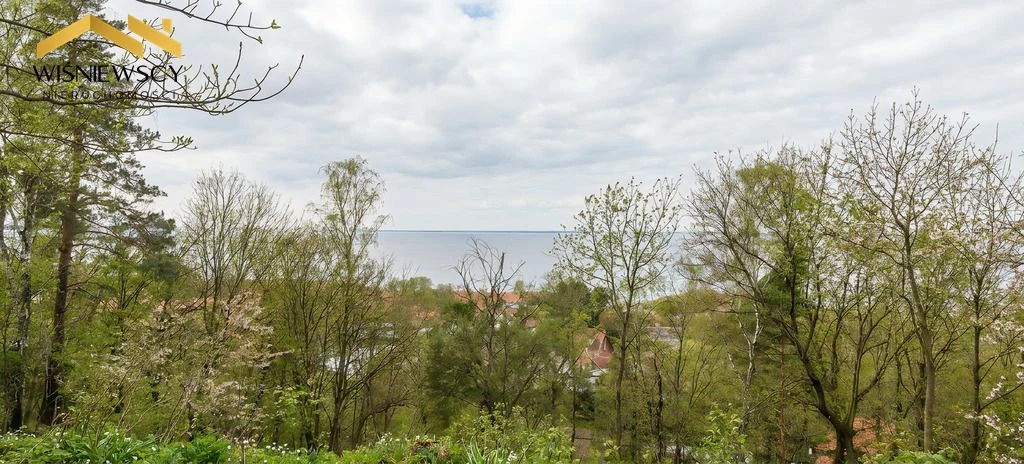 Suchacz - Działki pod osiedle lub inwestycję - 3