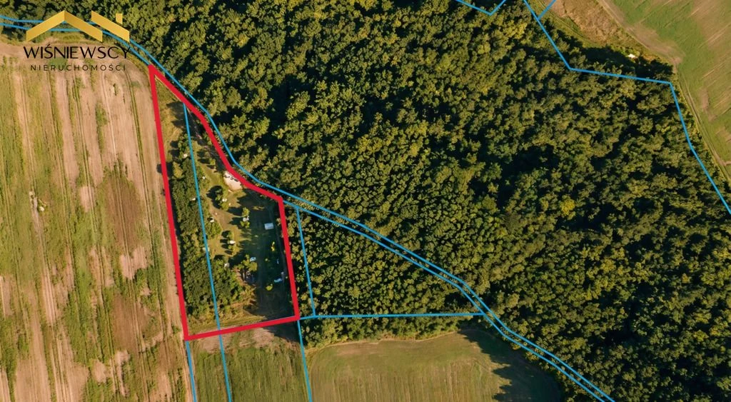 Działka - 1,63 ha przy rezerwacie Lenki, Dawidy - 2