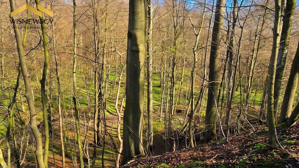Działka - 1,63 ha przy rezerwacie Lenki, Dawidy - 4