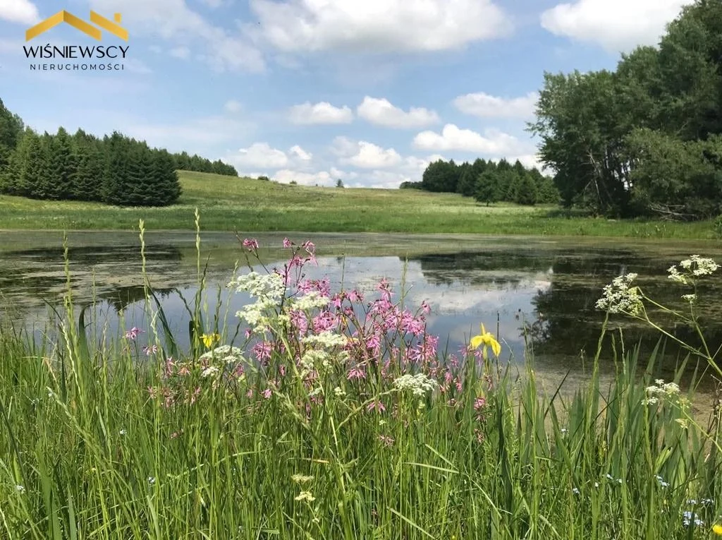 Działka 1028 m² z WZ wśród natury – Rogowo - 4
