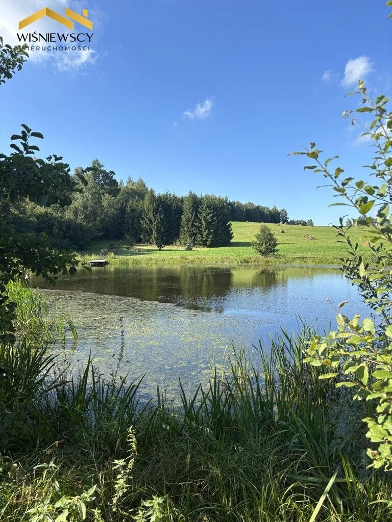 Rogowo 2,9 ha ze stawem i działką pod dom - 112308609.jpg