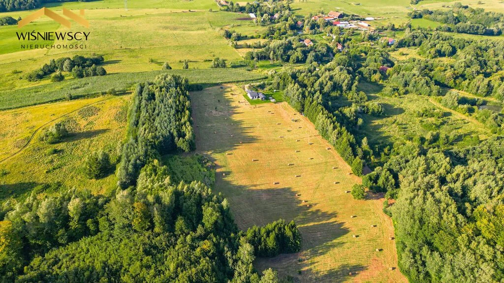 Rogowo 2,9 ha ze stawem i działką pod dom - 3