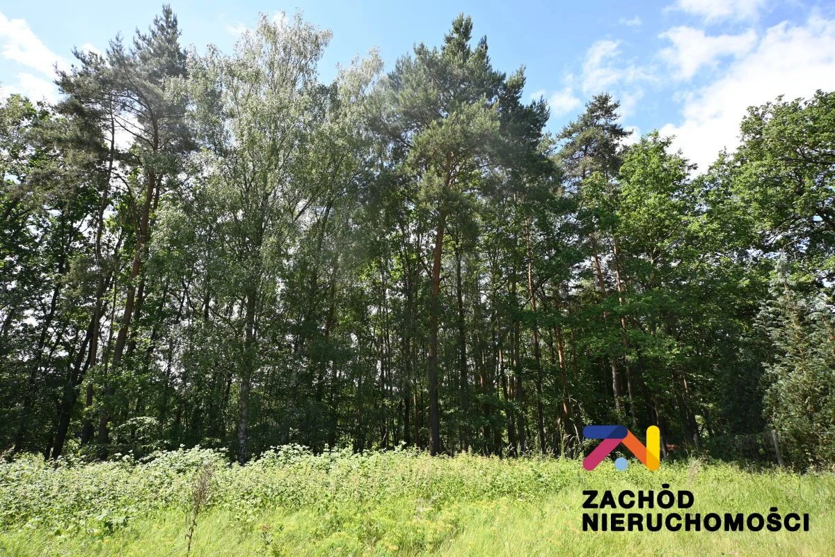 Na sprzedaż niezabudowana działka nr 27/12 w Podgórzycach spokojna lokalizacja, sąsiedztwo zabudowy mieszkaniowej, terenów zielonych i otwartej przestrzeni. - 5