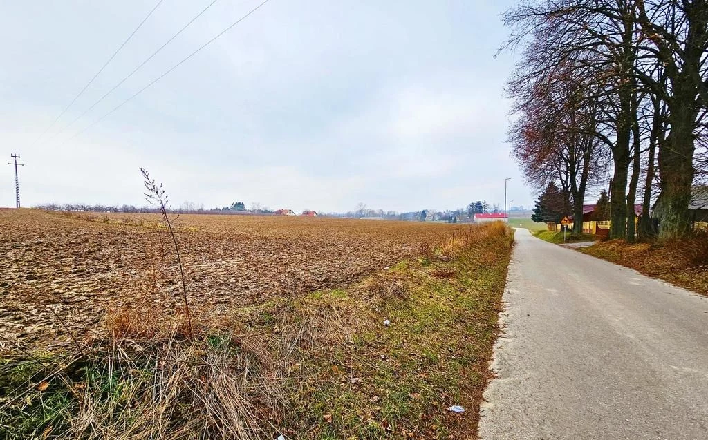 Tomaszowice - działka 20ar położona na wzniesieniu - 2