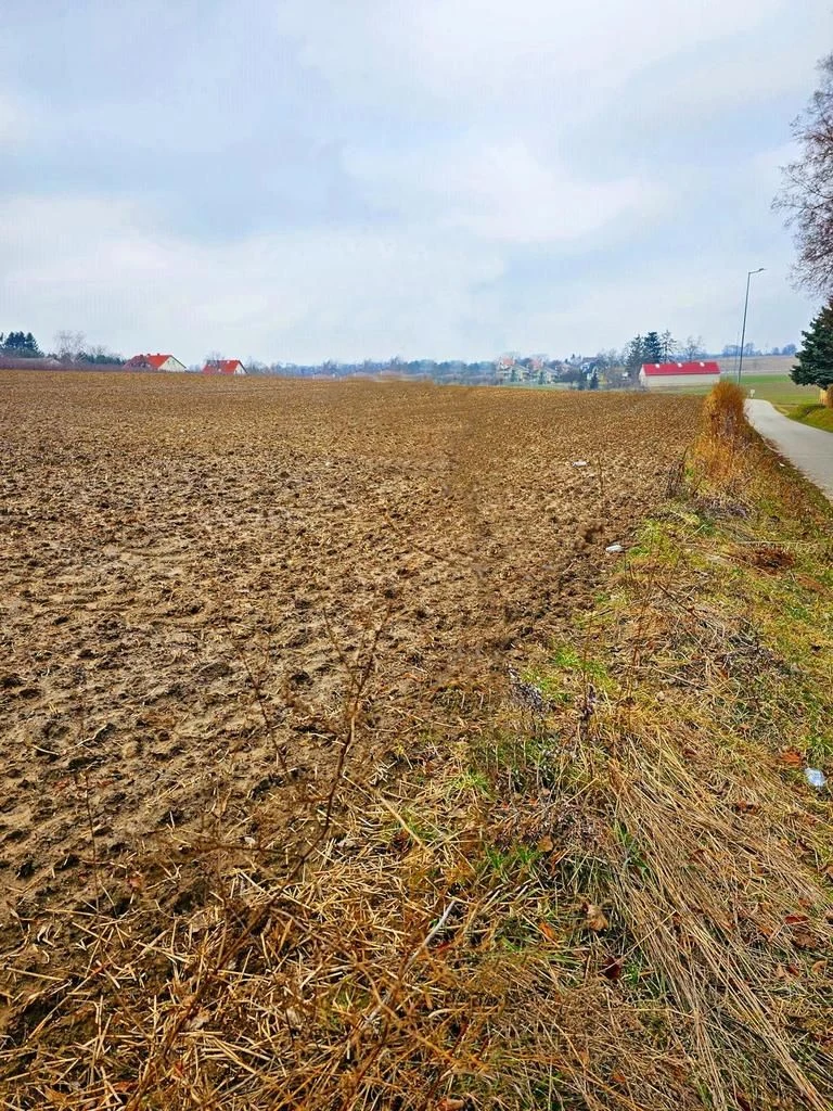 Tomaszowice - działka 20ar położona na wzniesieniu - 3
