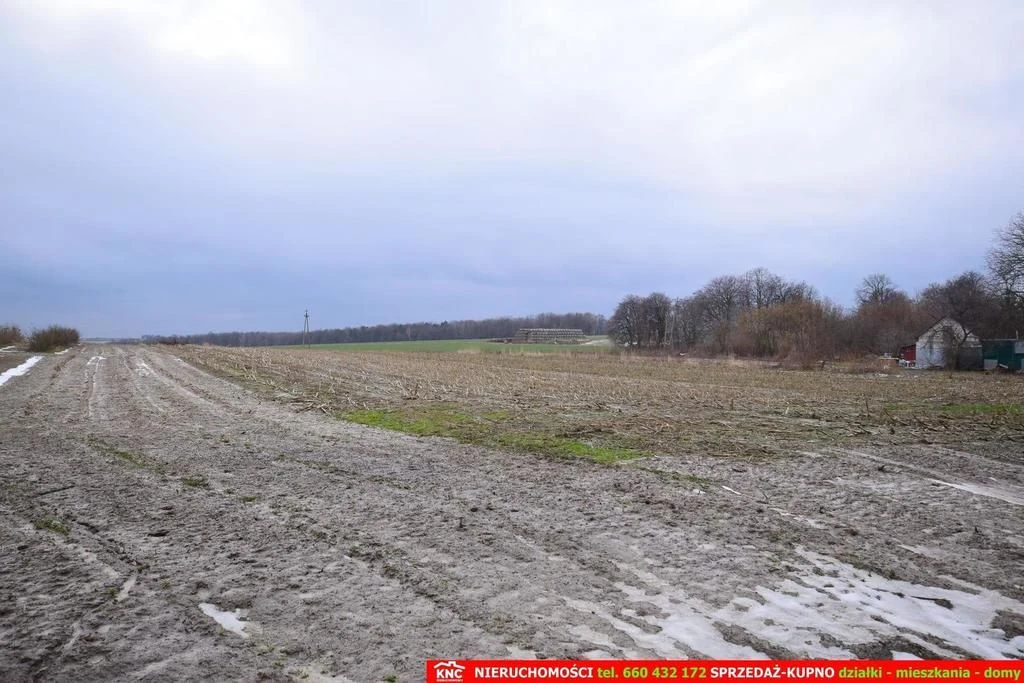Wierciszów, działki budowlane MN, media 100%. - 5