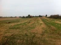 Wola Przybysławska 77 ar