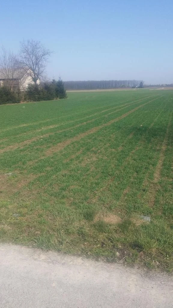 Jakubowice Kon. - Szeroka działka budowlana - 93773404.jpg