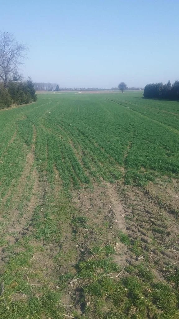 Jakubowice Kon. - Szeroka działka budowlana - 3