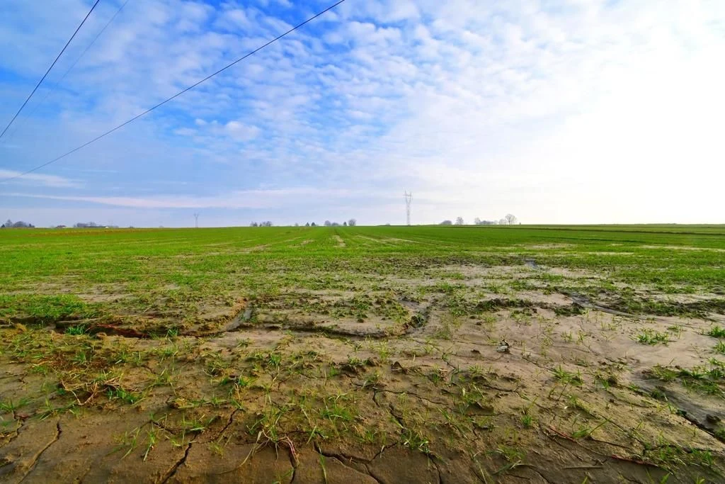 Działka rolno-budowlana - doskonała inwestycja! - 3