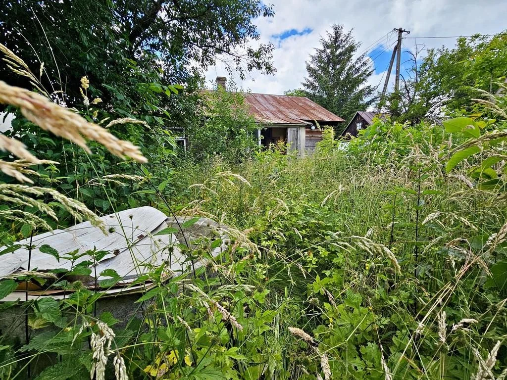 Atrakcyjna działka z domem - Zalesie gm. Niemce - 93776306.jpg