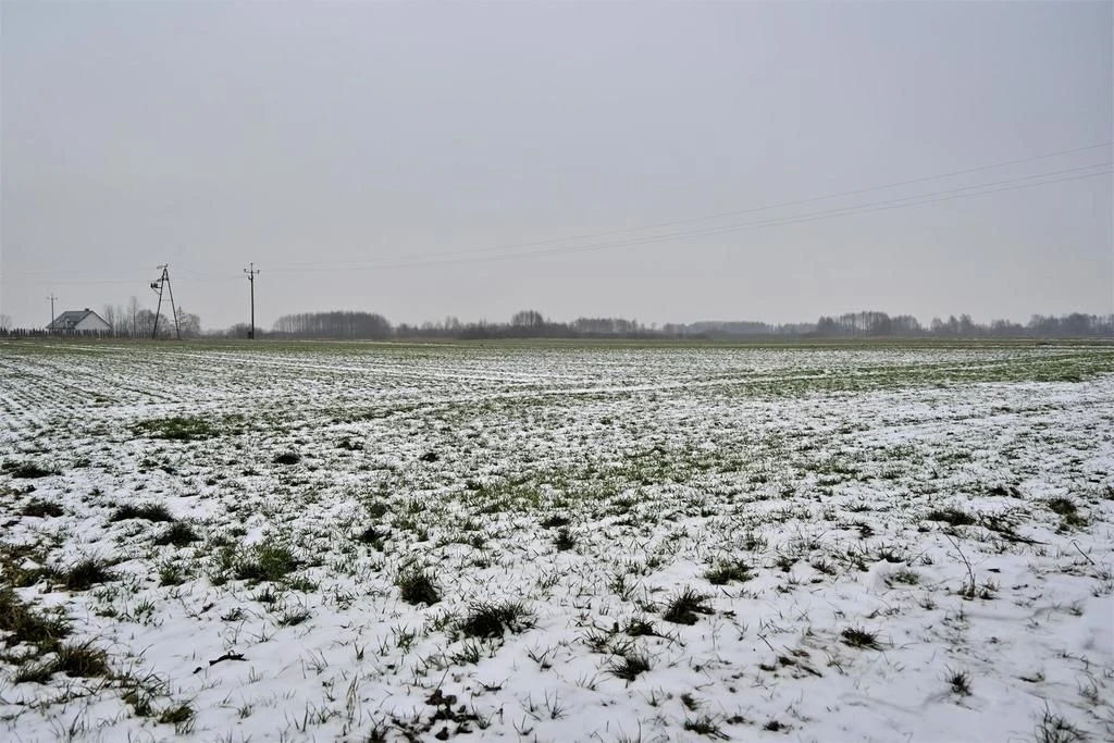 Ludwin - duża działka usługowa 75a - 93776692.jpg