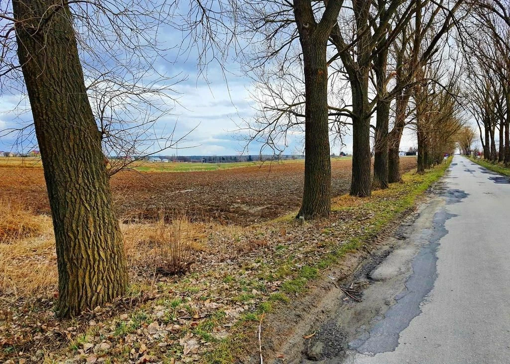 Działka inwestycyjna w Zemborzycach Kościelnych - 93777057.jpg
