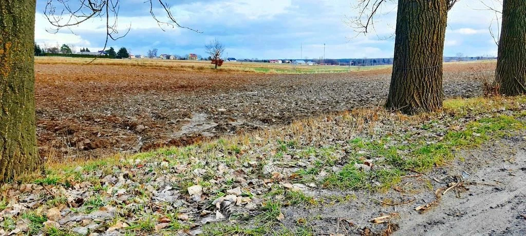 Działka inwestycyjna w Zemborzycach Kościelnych - 3