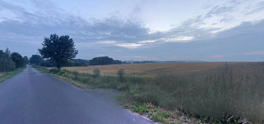 Idealna działka 18 arów - Piotrkówek - 93777680.jpg