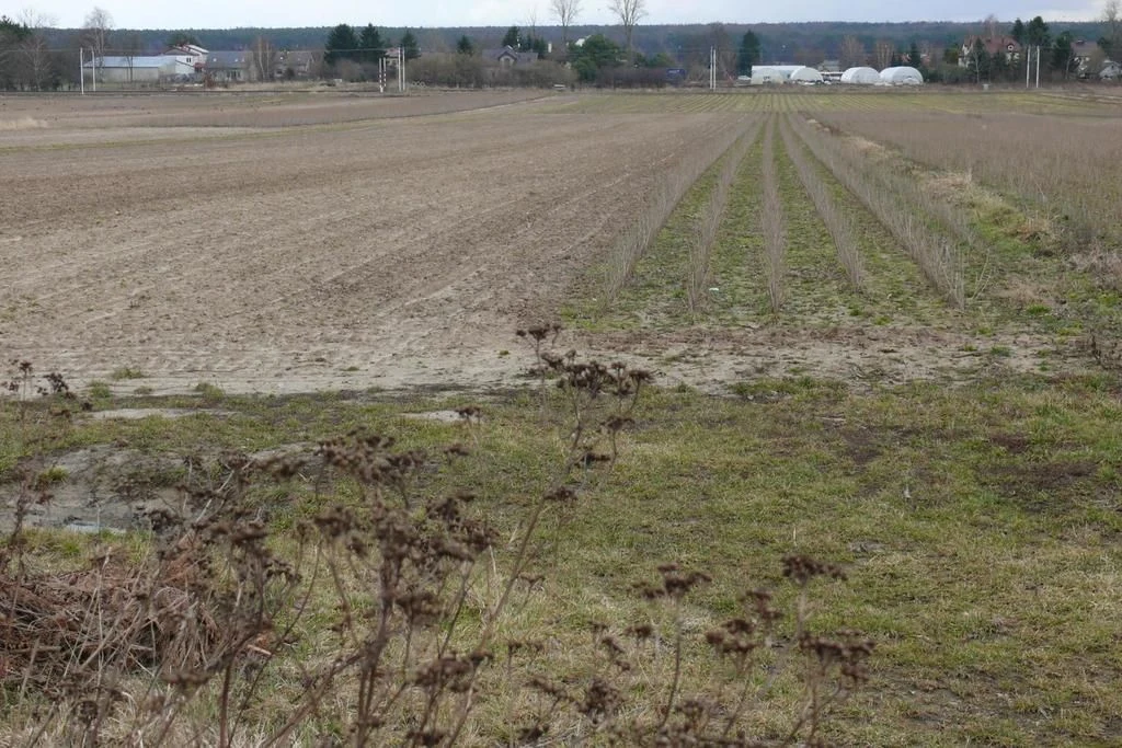Działka w doskonałej lokalizacji-5 min. od Zalewu - 93777752.jpg